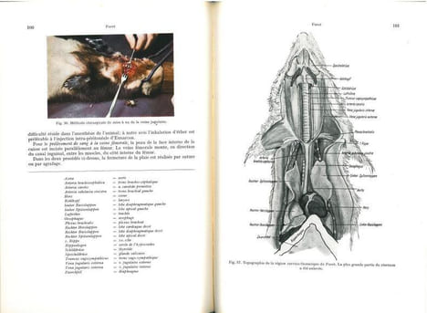 Les animaux de laboratoire (précis).. Hoffmann, G. et al.