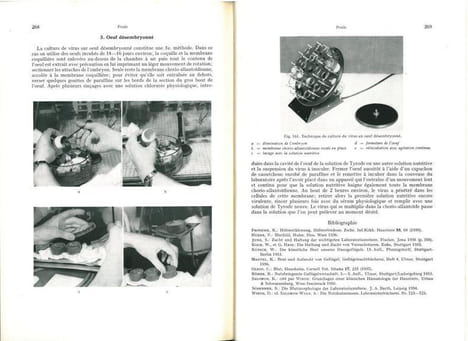 Les animaux de laboratoire (précis).. Hoffmann, G. et al.