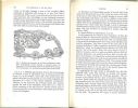 Oogenesis, the storage of developmental information.. Raven, Chr.P.