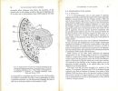 Oogenesis, the storage of developmental information.. Raven, Chr.P.