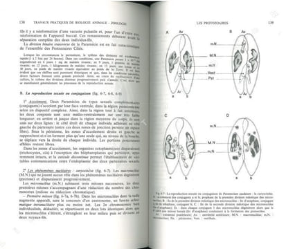 Travaux pratiques de biologie animale.. Beaumont, A. & P. Cassier