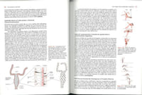 Molecular biology of the cell.