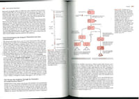 Molecular biology of the cell.
