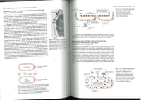 Molecular biology of the cell.