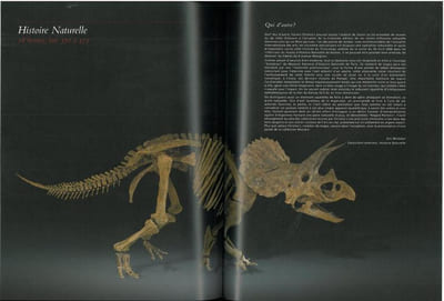Arts décoratifs du XVI° au XIX° siècle et histoire naturelle.