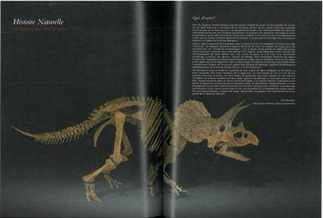 Arts décoratifs du XVI° au XIX° siècle et histoire naturelle.. Anonyme,