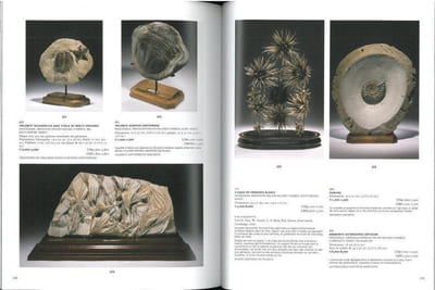 Arts décoratifs du XVI° au XIX° siècle et histoire naturelle.