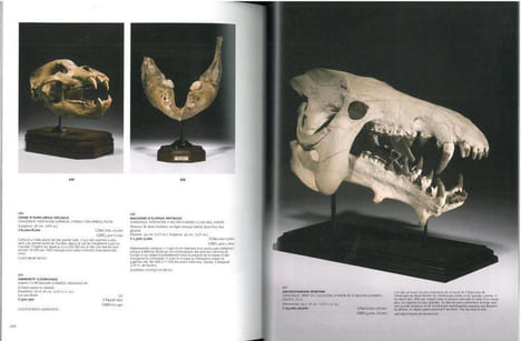 Arts décoratifs du XVI° au XIX° siècle et histoire naturelle.. Anonyme,