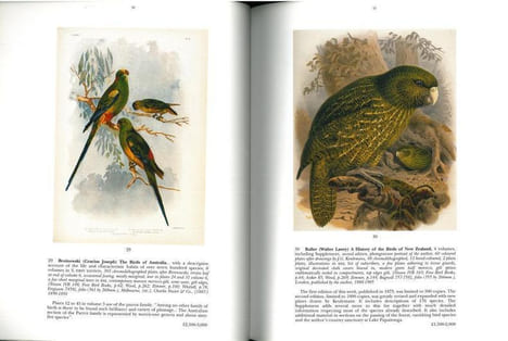 The Stanley Smith collection of natural history books.. Anonymous [Sotheby’s],