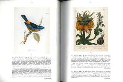 The Stanley Smith collection of natural history books.