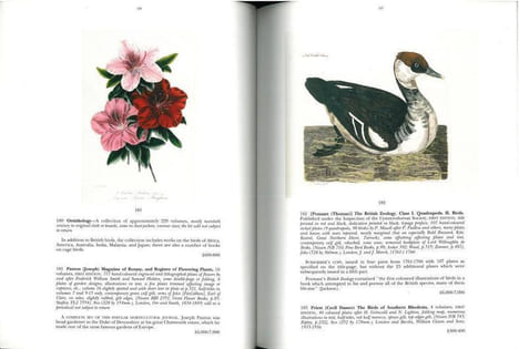 The Stanley Smith collection of natural history books.. Anonymous [Sotheby’s],
