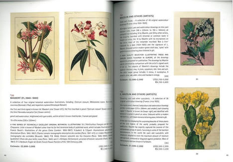 Natural history.. Anonymous [Christie’s],