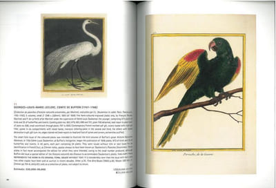 Natural history.