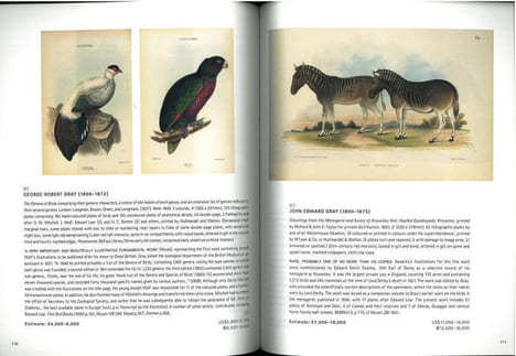 Natural history.. Anonymous [Christie’s],