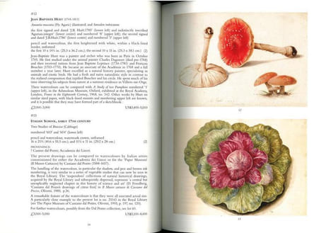 Natural history.. Anonymous [Christie’s],
