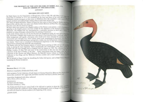 Natural history.. Anonymous [Christie’s],