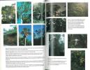 A neotropical companion. An introduction to the animals, plants and ecosystems of the new world tropics.. Kricher, John