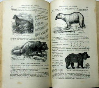 Histoire naturelle des êtres vivants. Tome 2, fasc. 2. Classifications zoologiques et botaniques.