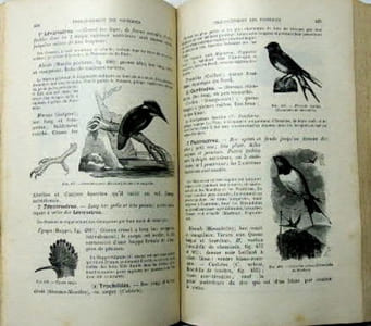 Histoire naturelle des êtres vivants. Tome 2, fasc. 2. Classifications zoologiques et botaniques.