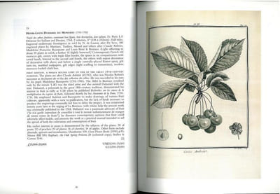 Natural history.