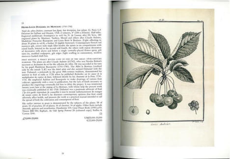 Natural history.. Anonymous,