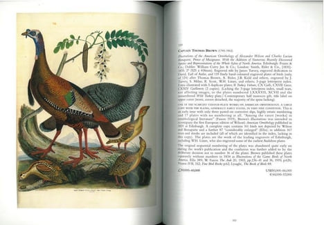 Natural history.. Anonymous,
