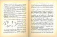 La régénération et les problèmes de la morphogenèse.