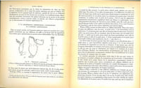 La régénération et les problèmes de la morphogenèse.