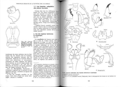 L'organisme dans son milieu. Tome 1. Les fonctions de nutrition.