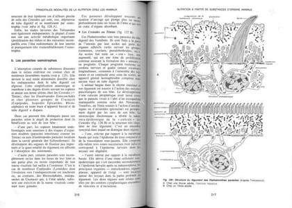 L'organisme dans son milieu. Tome 1. Les fonctions de nutrition.