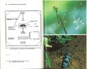 Guide du naturaliste dans les Pyrénées occidentales. 2 volumes.. Dendaletche, Claude