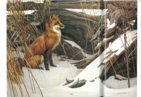 Robert Bateman. Peintre naturaliste.. Archbold, Rick