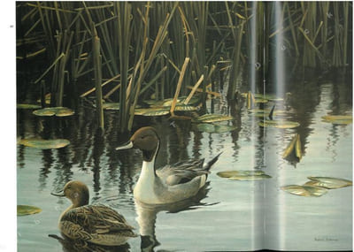 Robert Bateman. Peintre naturaliste.