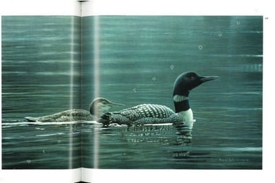 Robert Bateman. Peintre naturaliste.