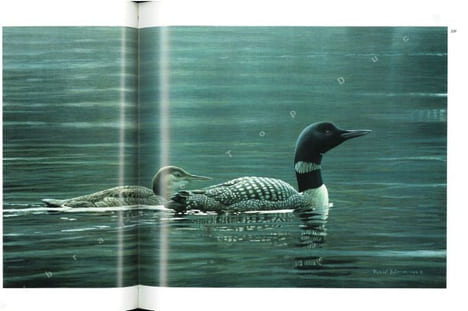 Robert Bateman. Peintre naturaliste.. Archbold, Rick