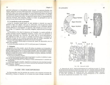 Biologie animale. Des Protozoaires aux Métazoaires épithélioneuriens. 2 volumes.. Beaumont, A. & P. Cassier