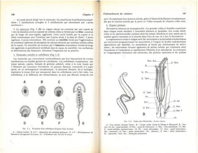 Biologie animale. Des Protozoaires aux Métazoaires épithélioneuriens. 2 volumes.