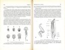 Biologie animale. Des Protozoaires aux Métazoaires épithélioneuriens. 2 volumes.. Beaumont, A. & P. Cassier