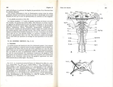 Biologie animale. Des Protozoaires aux Métazoaires épithélioneuriens. 2 volumes.