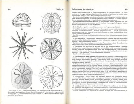 Biologie animale. Des Protozoaires aux Métazoaires épithélioneuriens. 2 volumes.. Beaumont, A. & P. Cassier