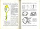 Zoologie. Invertébrés et vertébrés. 2 volumes.. Grasse, Pierre-Paul (ed.)