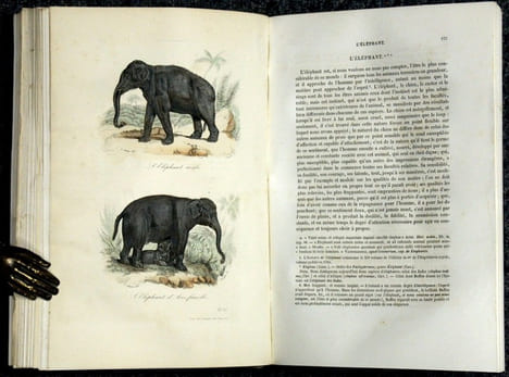 Oeuvres complètes de Buffon avec la nomenclature Linnéenne et la classification de Cuvier, revues sur l'édition in-4° de l'imprimerie royale et  ...
