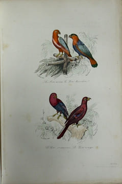 Oeuvres complètes de Buffon avec la nomenclature Linnéenne et la classification de Cuvier, revues sur l'édition in-4° de l'imprimerie royale et  ...
