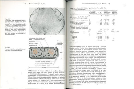 Biologie moléculaire du gène.. Watson, James D.