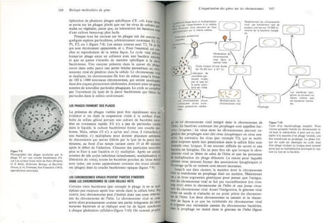 Biologie moléculaire du gène.. Watson, James D.