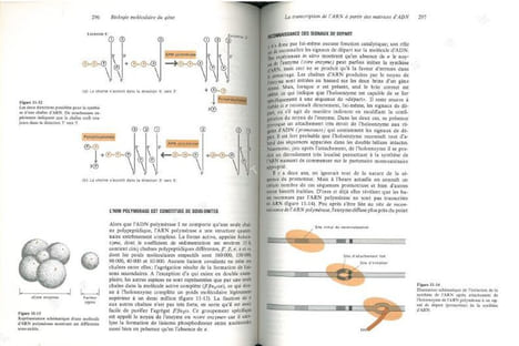 Biologie moléculaire du gène.. Watson, James D.