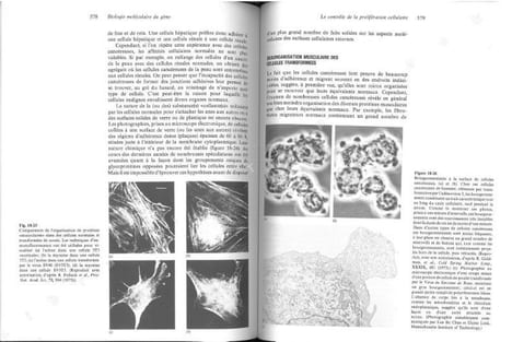 Biologie moléculaire du gène.. Watson, James D.