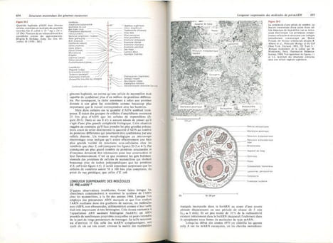 Biologie moléculaire du gène.. Watson, J.D. et al.