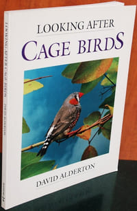 Looking after cage birds.