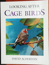 Looking after cage birds.
